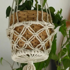 Macrame Plant Pot Holder - Single