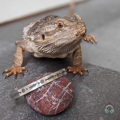 Karen Hilltribe Silver Bangle - Bibi