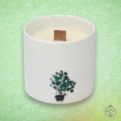 Botanical Soy Candles - Set of 3