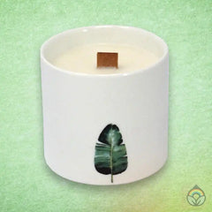 Botanical Soy Candles - Set of 3