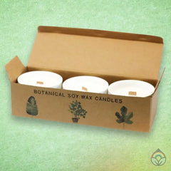 Botanical Soy Candles - Set of 3
