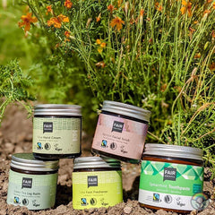 Organic Fair Squared Spearmint Toothpaste selection