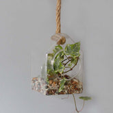 Glass Terrarium Hanging House with Jute Rope