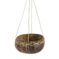 Coconut Plant Hanger - Rainbow Life