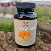 Cordyceps Mushroom Capsules Organic 450mg 60pcs