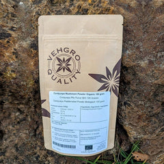 Cordyceps Mushroom Powder Organic 100g