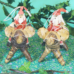 Santa Riding Elephant