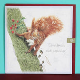 Red Squirrel Greetings Card