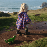 Pull Along - Dinosaur - Rainbow Life