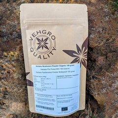 Maitake Mushroom Powder Organic 100g