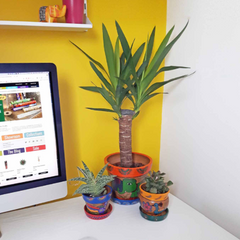 Mithila Round Pot and Saucer
