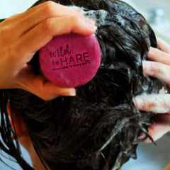 Wild HARE Solid Shampoos