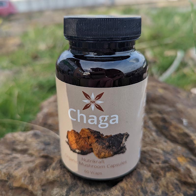 Chaga Capsules Organic 450mg 60pcs