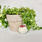 Bath Bomb - Romance - Rainbow Life