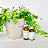 Handcrafted Body Oil - Romance