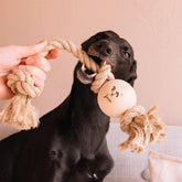 Handmade Hemp and Wood Dog Toy-Knot Putt