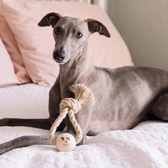 Handmade Hemp and Wood Toy-Top Knot