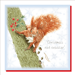 Red Squirrel Greetings Card