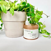 Organic Salt Scrub - Sunset - Rainbow Life