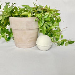 Bath Bomb - The Wise Man - Rainbow Life