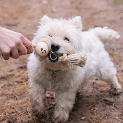 Handmade Hemp and Wood Dog Toy-Tug-A-Ball
