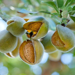 Gardener's Foot Rescue Kit