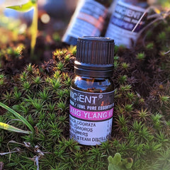 Essential Oil - Ylang Ylang III