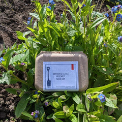 Butterfly & Bee Seed Kit