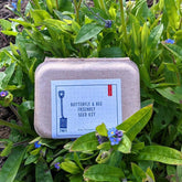 Butterfly & Bee Seed Kit