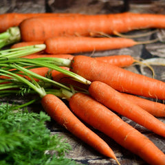 Garden Harvest Foam Bath, Carrot