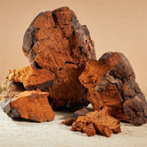 Chaga Capsules Organic 450mg 60pcs