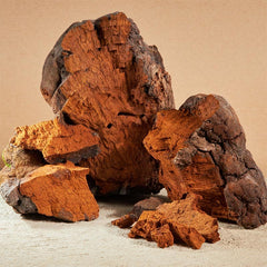 Chaga Mushroom Powder Organic 100g