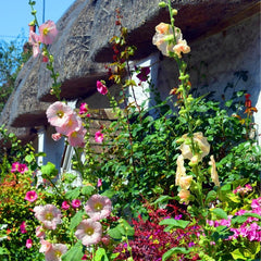 Cottage Garden Triple Milled Soap