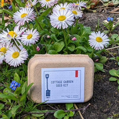 Cottage Garden Seed Kit