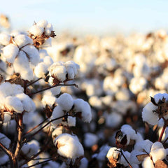 Natural Cotton Travel Bag - Tumeric