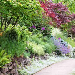 Gardening Scissors in Pouch - Small - Rainbow Life