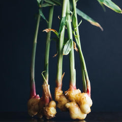 Massage Oil Blend- Joint Ease