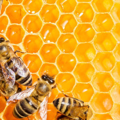 Honey and Oatmeal Soap Bar - Rainbow Life