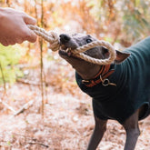 Handmade Hemp Dog Toy-Knot Again