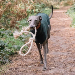Handmade Hemp Dog Toy-Knot Again