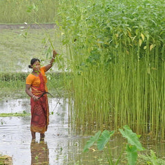 Jute Toiletry Bag - Natural & Lavender