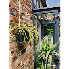 Handmade Biodegradable Needle Feltbulb Garland - Festive Decoration - Rainbow Life