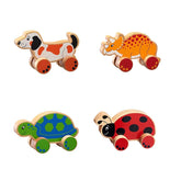 Push Along Toy-Turtle