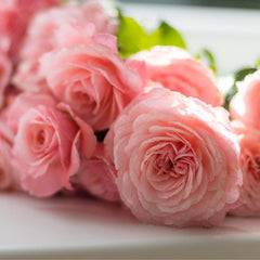 Scottish Flora Soap - Rose and Poppy