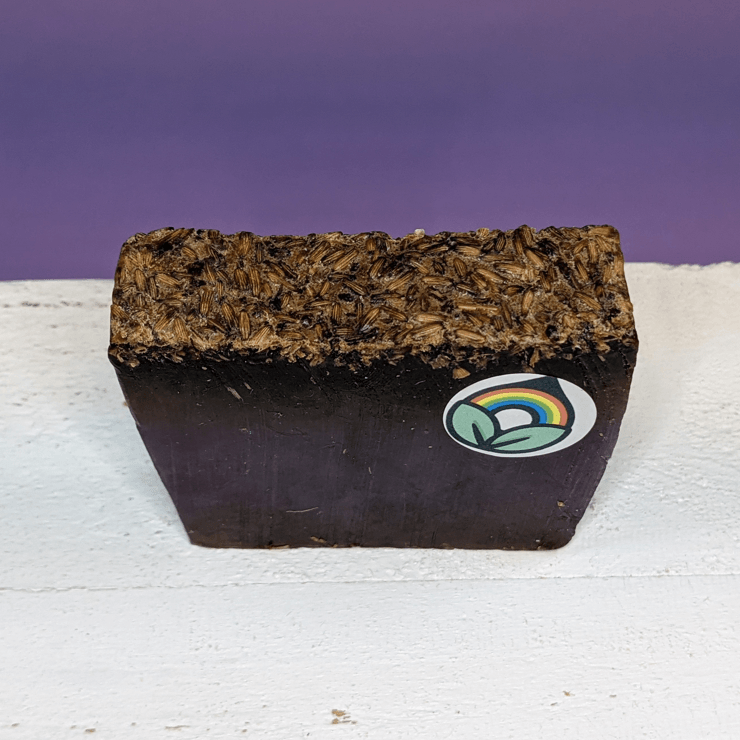 Wild & Natural Handcrafted Soap Bar- Sleepy Lavender - Rainbow Life