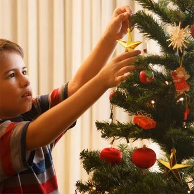 Exploring the Most Sustainable Christmas Tree Options