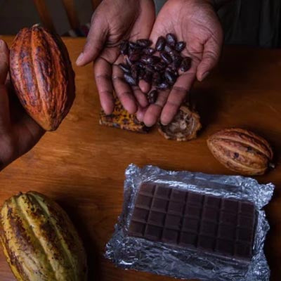 Ethical & Sustainable Indulgence for Chocolate Lovers