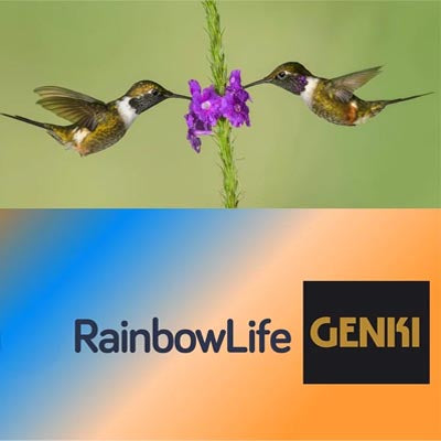 two hummingbirds with RainbowLife & Genki logos