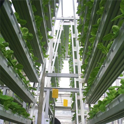 What is Vertical Agriculture?