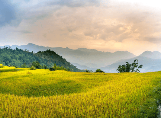 Why Rainbow Life Partners with Fair Tourism: Building Ethical & Sustainable Tourism